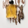 Bois Corsa – profumi esclusivi Bois Corsa – profumi esclusivi