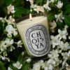 Choisya (fiori d’arancio) – candela classica Choisya (fiori d’arancio) – candela classica