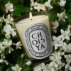 Choisya (fiori d’arancio) – candela classica Choisya (fiori d’arancio) – candela classica