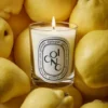 Coing (mela cotogna) – candela classica Coing (mela cotogna) – candela classica
