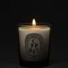 Cypras (cipresso) – candela piccola Cypras (cipresso) – candela piccola