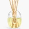 Diffusore di profumi per la casa – contenitore in vetro – 100 ml