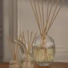 Diffusore di profumi per la casa – contenitore in vetro – 100 ml