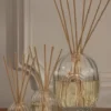 Diffusore di profumi per la casa – contenitore in vetro – 100 ml