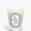 Eucalipto – candela classica Eucalipto – candela classica