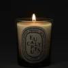 Eucalipto – candela classica Eucalipto – candela classica