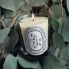 Eucalipto – candela classica Eucalipto – candela classica