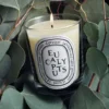 Eucalipto – candela classica Eucalipto – candela classica
