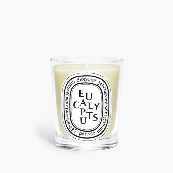 Eucalipto – candela classica Eucalipto – candela classica