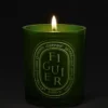 Figuier (albero di fico) – candela media Figuier (albero di fico) – candela media