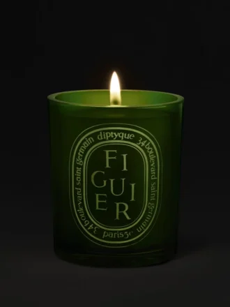 Figuier (albero di fico) – candela media