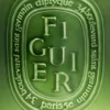 Figuier (albero di fico) – candela molto grande Figuier (albero di fico) – candela molto grande