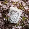 Fleur de cerisier (fiore di ciliegio) – candela classica Fleur de cerisier (fiore di ciliegio) – candela classica