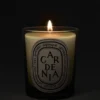 Gardenia – candela classica Gardenia – candela classica