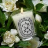Gardenia – candela classica Gardenia – candela classica
