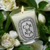 Gardenia – candela classica Gardenia – candela classica