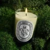 Mousses (muschio) – candele classiche Mousses (muschio) – candele classiche
