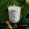 Noisetier (nocciolo) – candela classica Noisetier (nocciolo) – candela classica