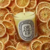 Oranger (arancio) – candela classica Oranger (arancio) – candela classica
