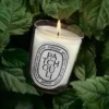 Patchouli – candela classica Patchouli – candela classica