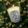 Tilleul (tiglio) – candela classica Tilleul (tiglio) – candela classica